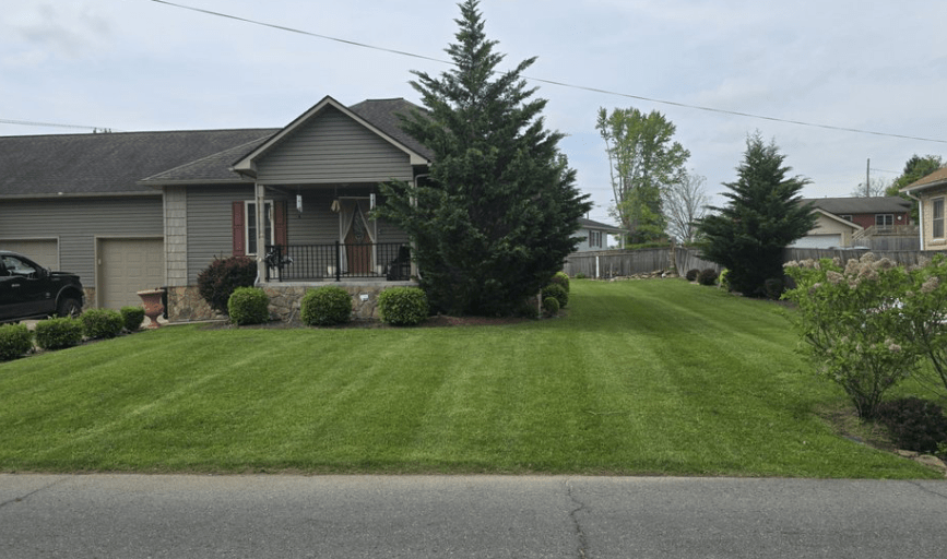 Lawn Care