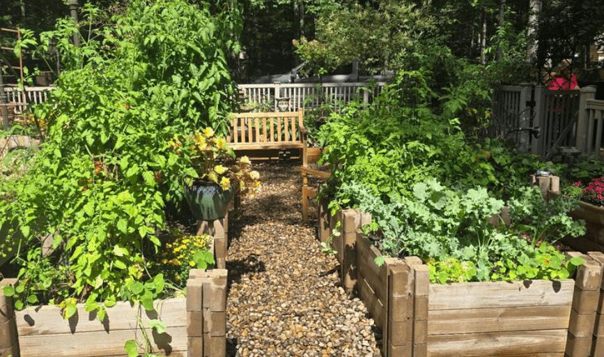 Landscape Design