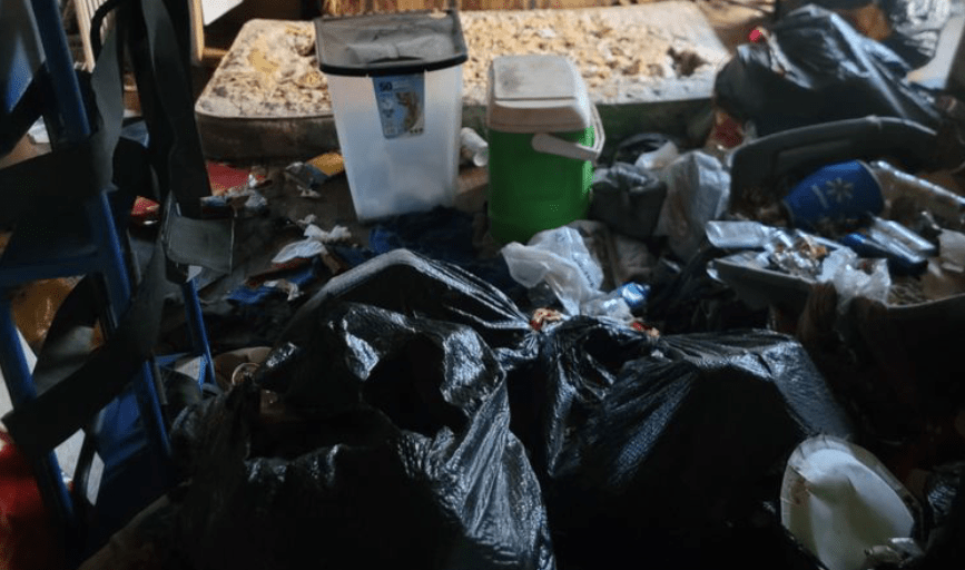 Junk Removal